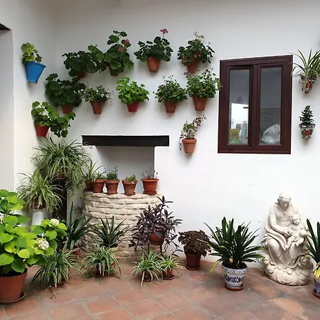 Apartment Entre Patios Y Flores