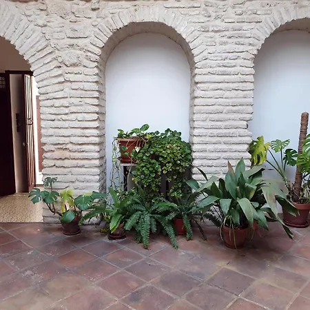 Entre Patios Y Flores Cordoba